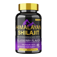 Blueberry Himalayan Shilajit Gummies 60 Count
