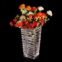 Transparent Glass Vase Living Room Decoration