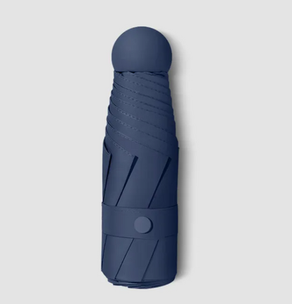 RainSun Auto Compact Umbrella