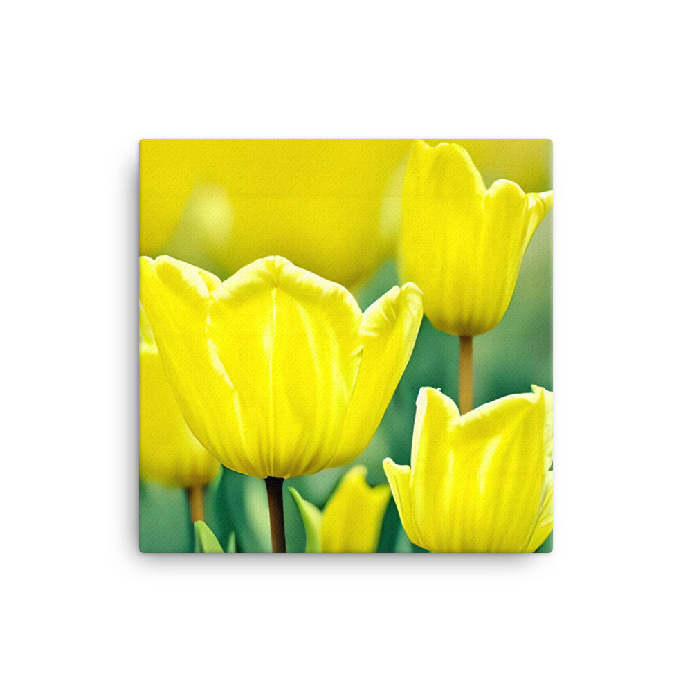 Sunny Garden Blooms