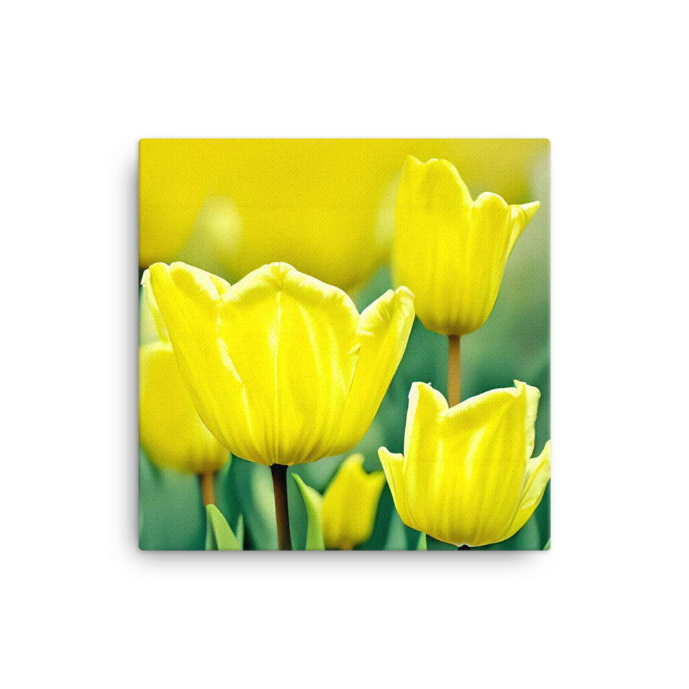 Sunny Garden Blooms