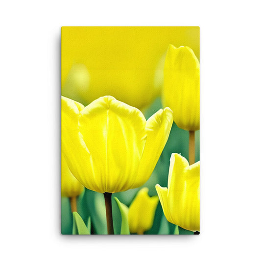 Sunny Garden Blooms