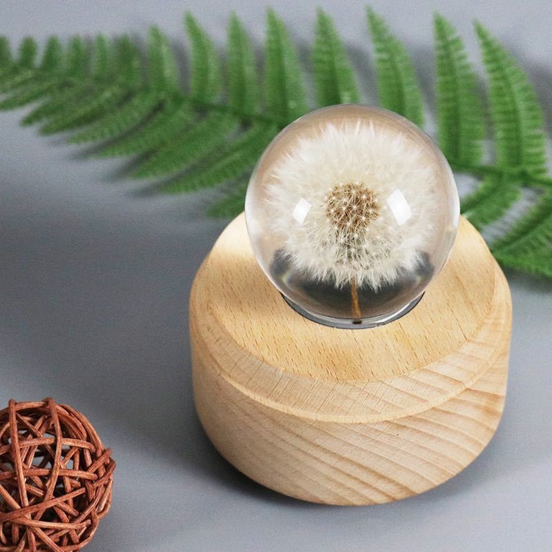 Crystal Ball Music Box Electronics