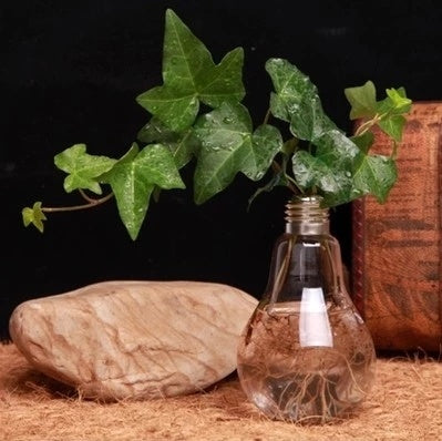 Jarrón de cristal transparente con forma de bombilla, creativo y con envío gratuito