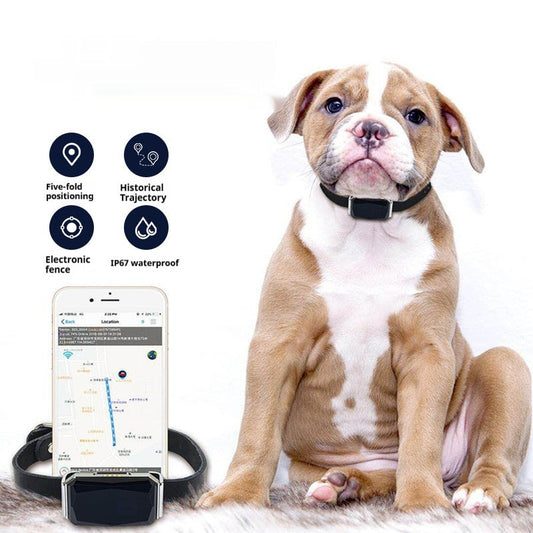 G12 Navegador Localizador de Mascotas, Rastreador Inteligente GPS para Gatos y Perros, Antirobo y Rastreo