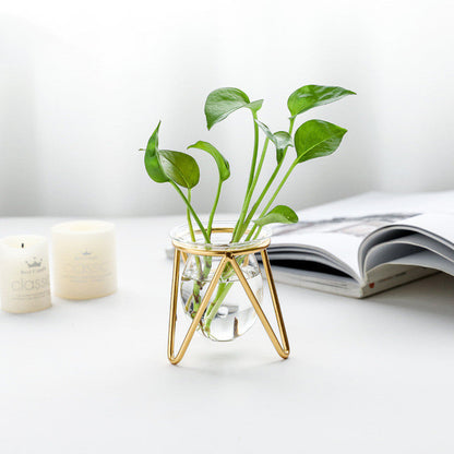 Decorated With Hydroponic Vase Decoration Living Room Dining Table Small  Creative Metal Decoration Glass Test Tube