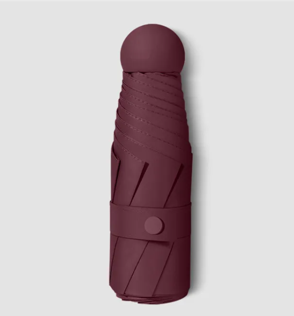 RainSun Auto Compact Umbrella