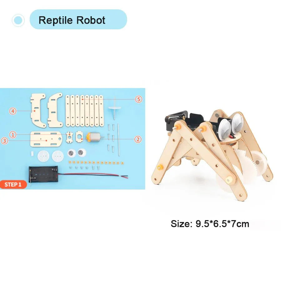 DIY Physical Model Science Experiment Kit – STEM Educational Toy