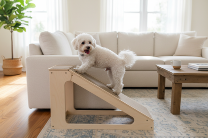 Dog using ramp to couch