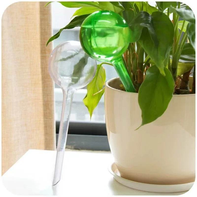 Globes d'arrosage automatique – 5 dispositifs d'arrosage automatique pour plantes d'intérieur et d'extérieur