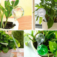 Globes d'arrosage automatique – 5 dispositifs d'arrosage automatique pour plantes d'intérieur et d'extérieur