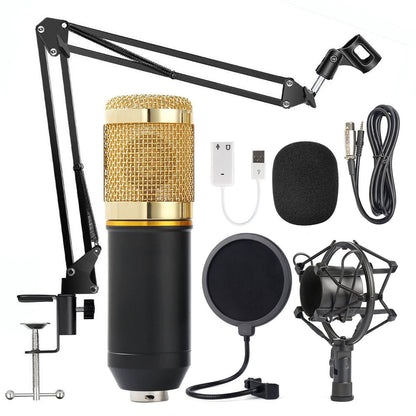 Grabación de micrófono, gritos, karaoke en vivo, pódcast