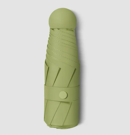 RainSun Auto Compact Umbrella