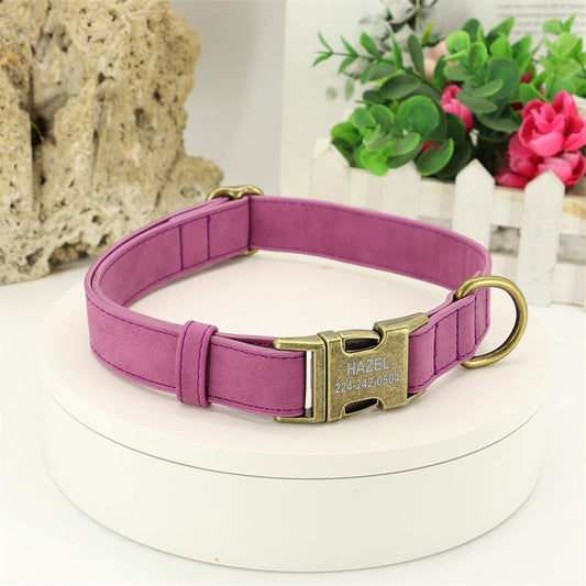 Laisse pour chien de taille moyenne Teddy Corgi
