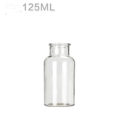 Hydroponic Plant Glass Bottle Living Room Decorations