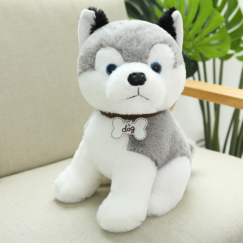 Nari Doll Ragdoll Children's Birthday Gift