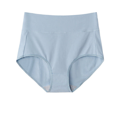 High Waist Briefs Plus Size Fat