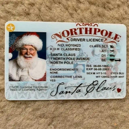 Christmas Gift For Children Sled Driving License