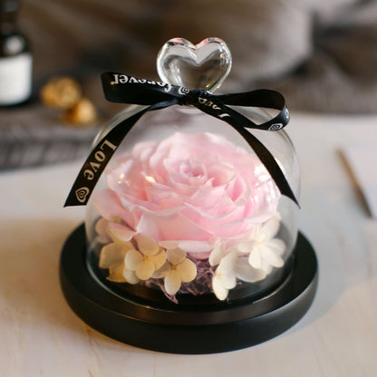 Valentine's Day Birthday Gift Gift Box Glass Cover Big Rose Immortal Flower