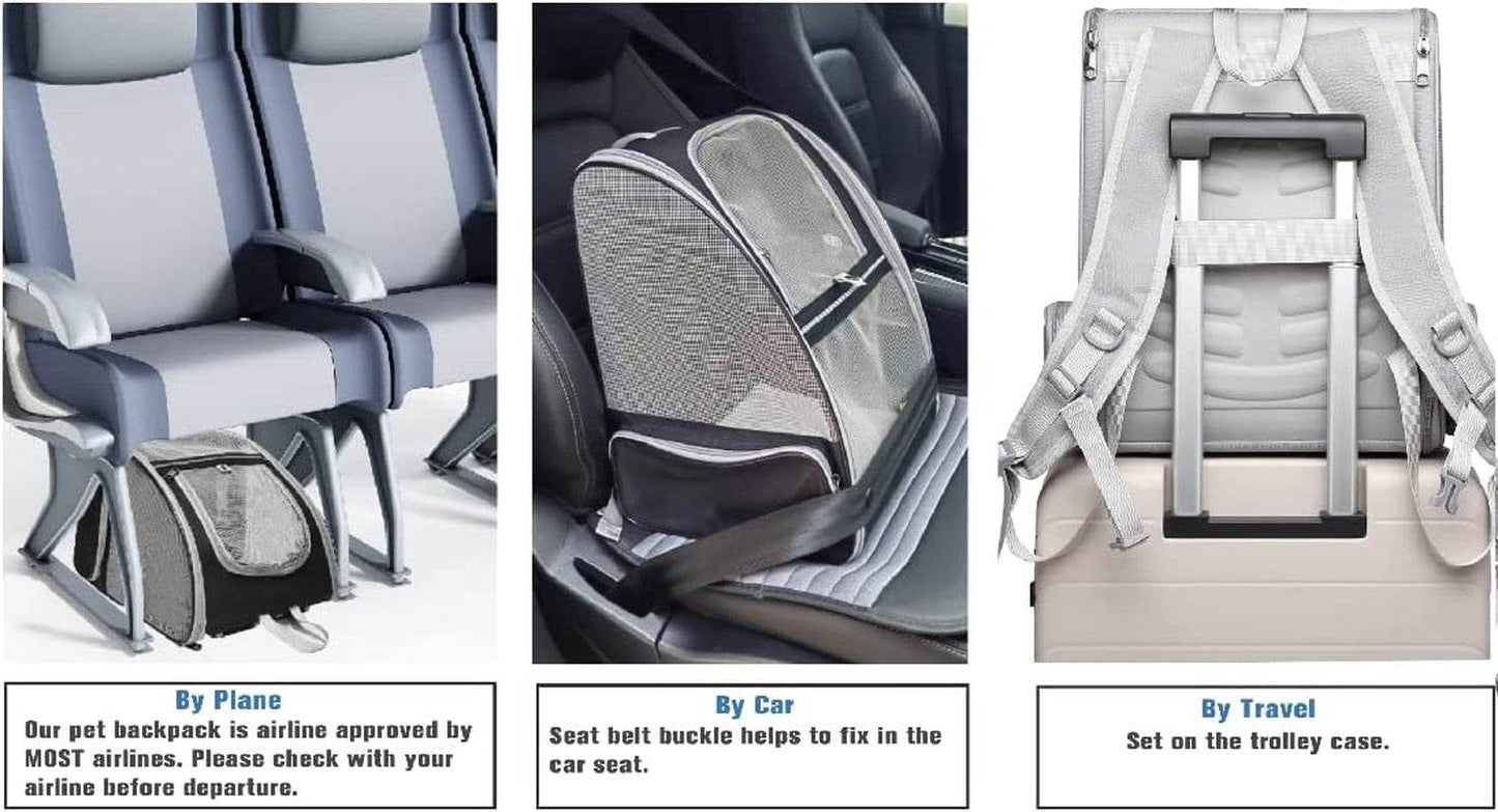 Bubble Travel Carrier