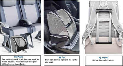 Bubble Travel Carrier