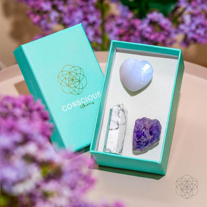 Crystal Car Kit of Protection