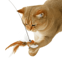 Hands-Free Feather Cat Wand with Bell – Suction Cup Interactive Toy