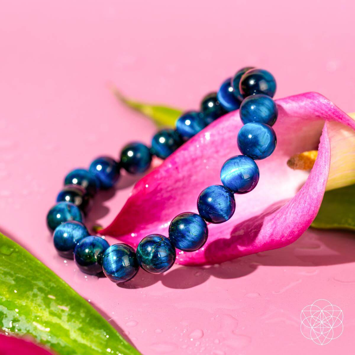 Enfoque de Halcón – Pulsera de Ojo de Tigre Azul Real