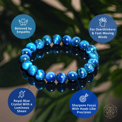 Enfoque de Halcón – Pulsera de Ojo de Tigre Azul Real
