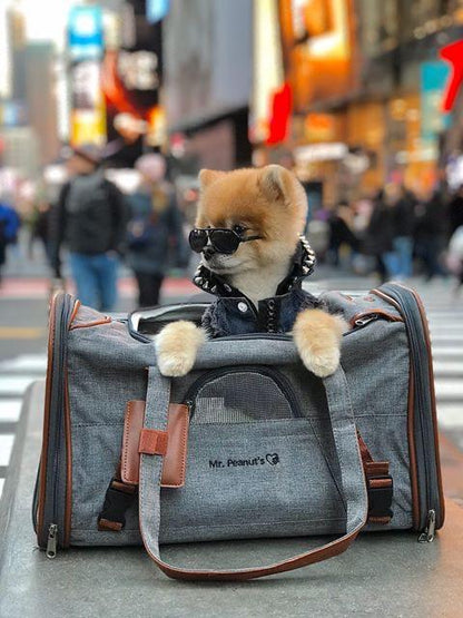 Sac de transport pour animaux de compagnie de taille standard, homologué pour les compagnies aériennes, série Or, par Mr. Peanut