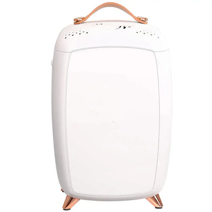 Luxury Skin Care 6L Mini Fridge with Mirror