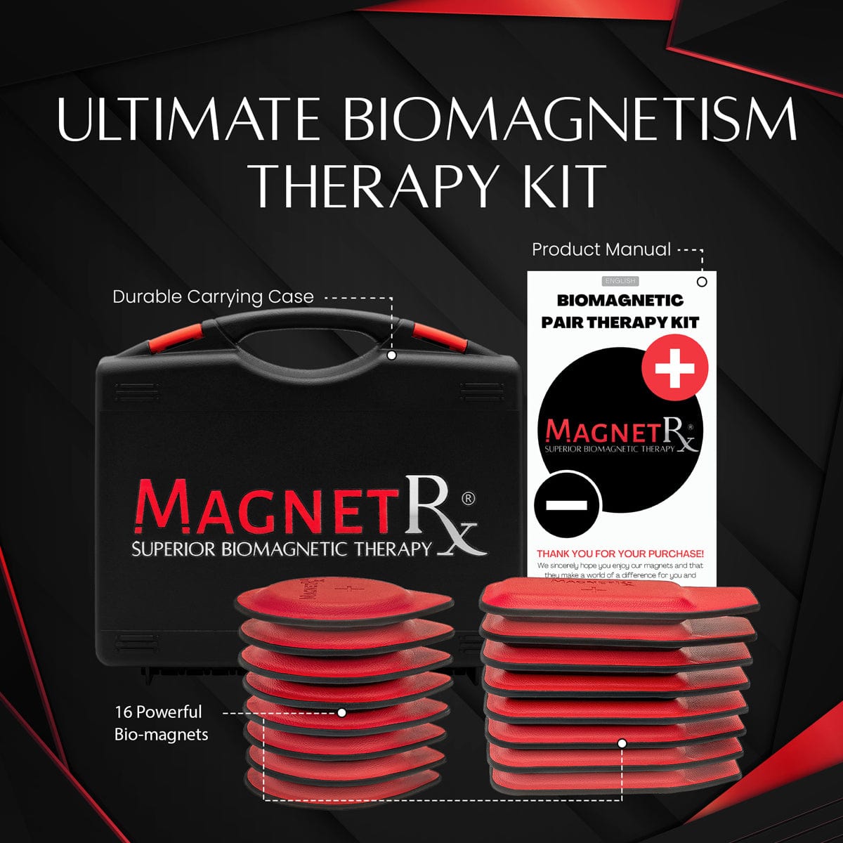 Biomagnetic Therapy Magnet Kit — Ferrite & Leather (16 Small Mixed Units)
