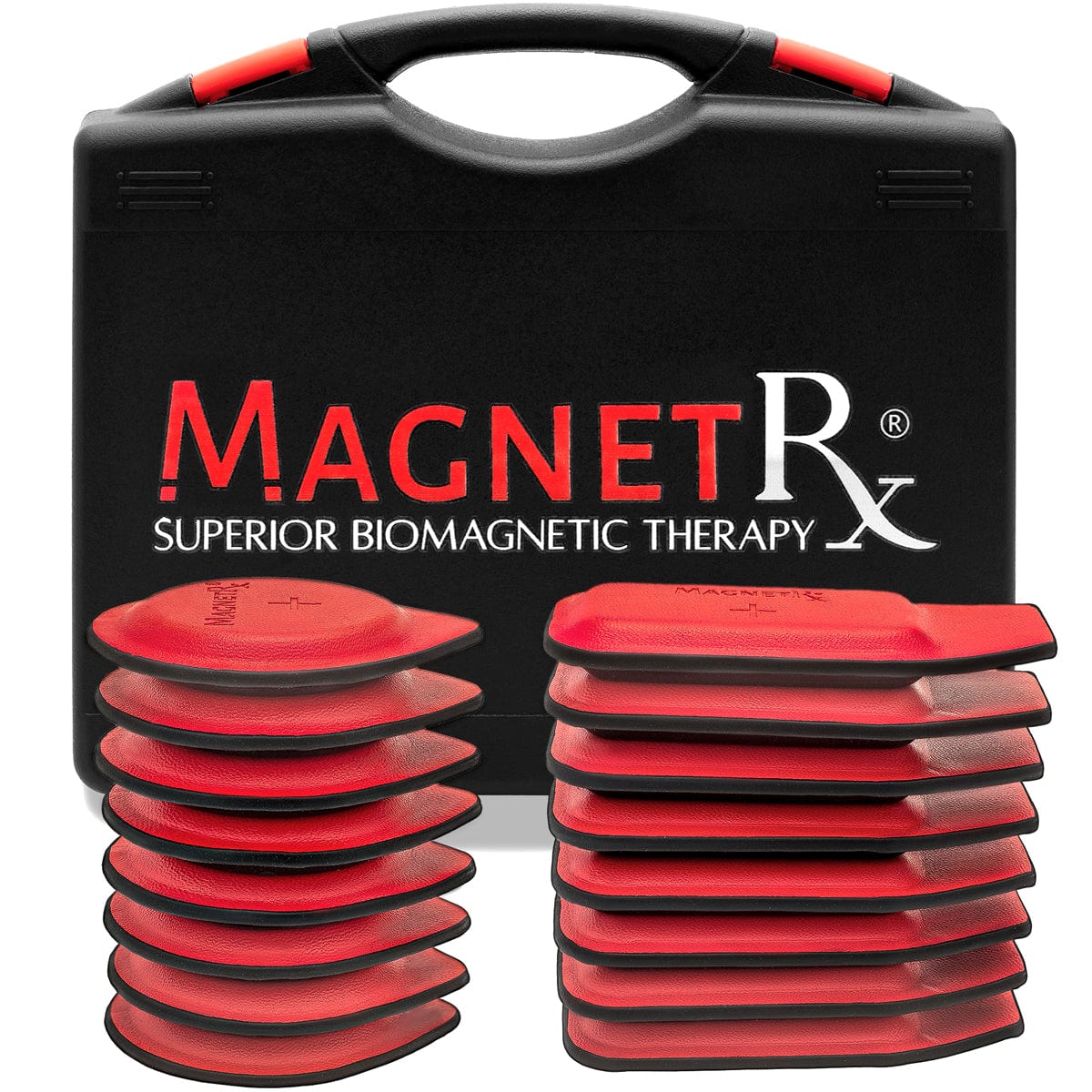 Biomagnetic Therapy Magnet Kit — Ferrite & Leather (16 Small Mixed Units)