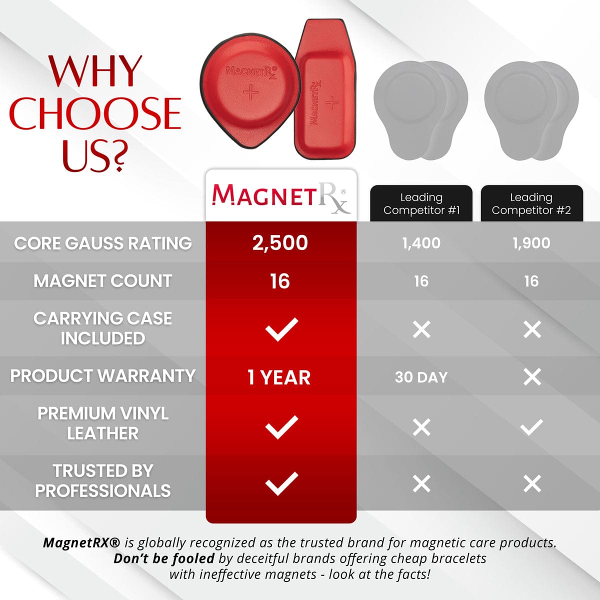 Biomagnetic Therapy Magnet Kit — Ferrite & Leather (16 Small Mixed Units)