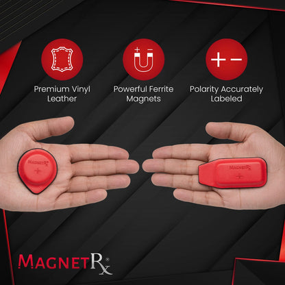 Biomagnetic Therapy Magnet Kit — Ferrite & Leather (16 Small Mixed Units)