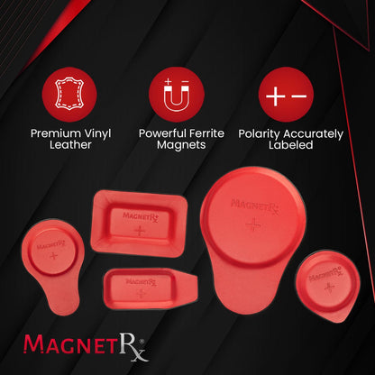 Biomagnetic Therapy Magnet Kit — Ferrite & Leather (22 Mixed Units)