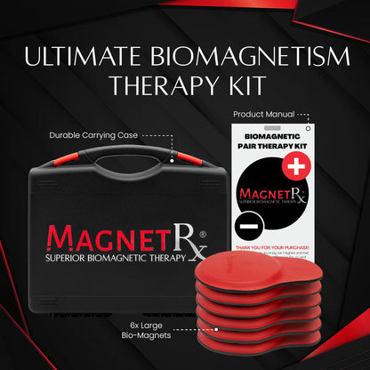 Biomagnetic Therapy Magnet Kit — Ferrite & Leather (6 Large Magnets)