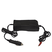 Nature's Generator Lead Acid Battery Car Charger