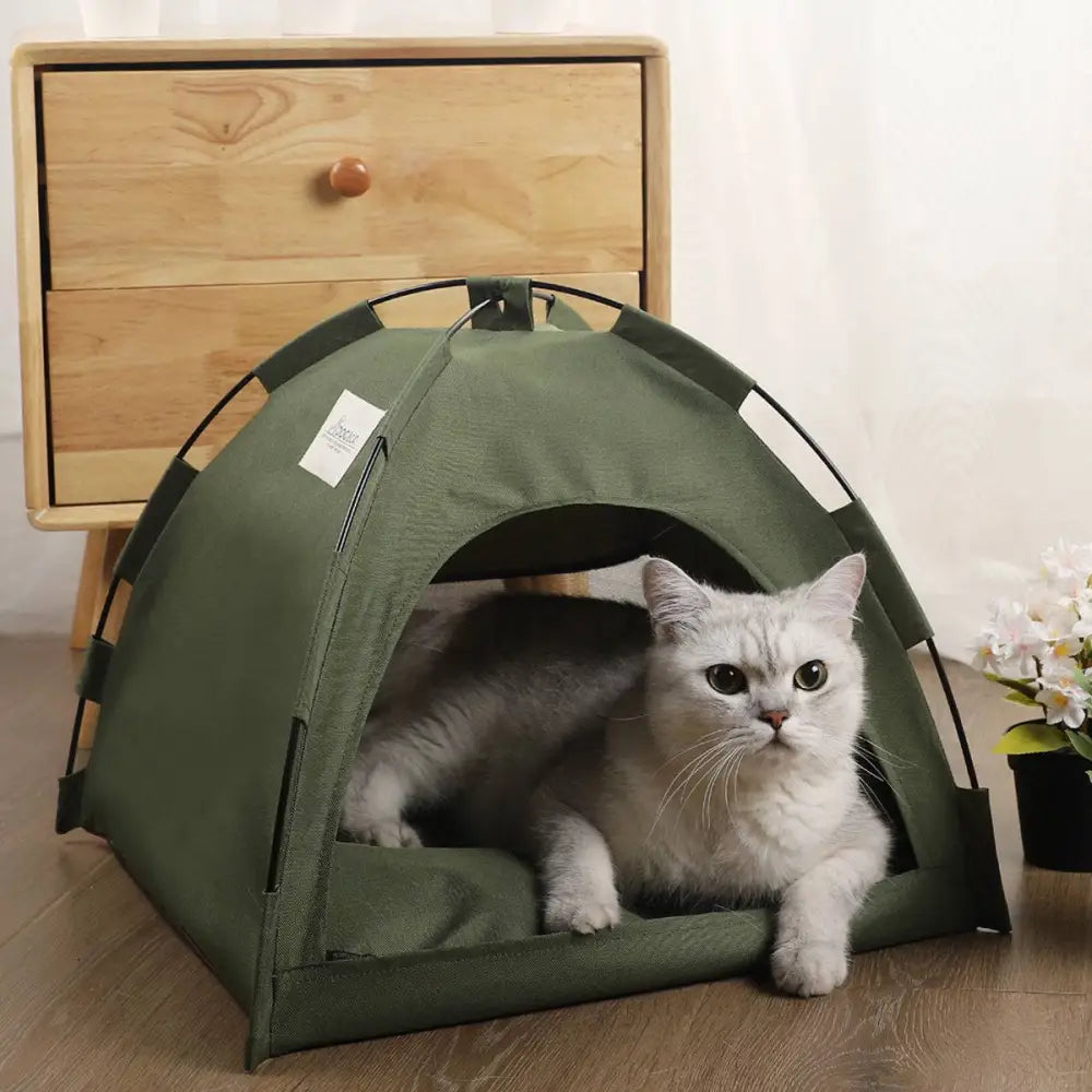 Olive Green Zippered Cat Tent