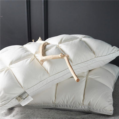 Lot de 2 oreillers en duvet d'oie Giancarlo