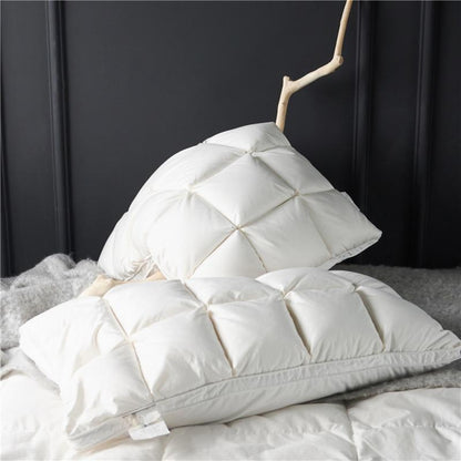 Lot de 2 oreillers en duvet d'oie Giancarlo