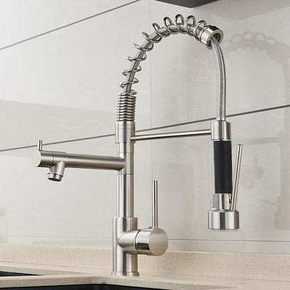 Neil Pull-Down Springs Sprout Kitchen Sink Faucet