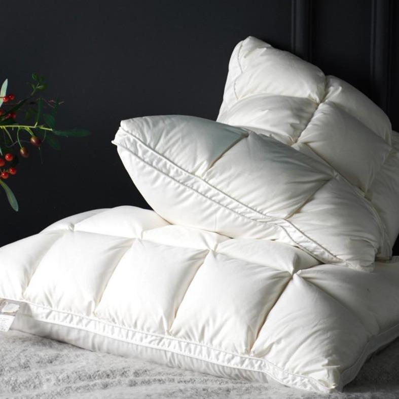 Lot de 2 oreillers en duvet d'oie Giancarlo