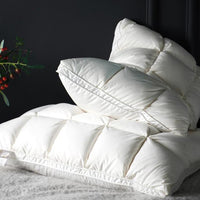 Lot de 2 oreillers en duvet d'oie Giancarlo