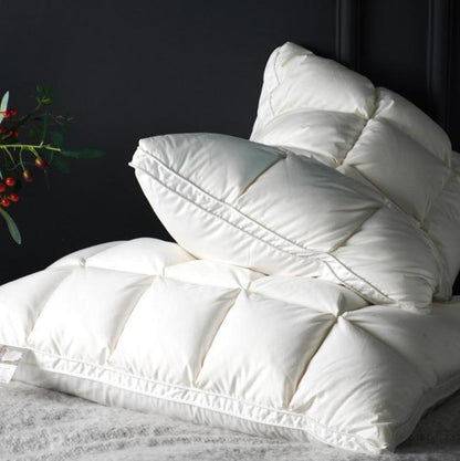 Lot de 2 oreillers en duvet d'oie Giancarlo