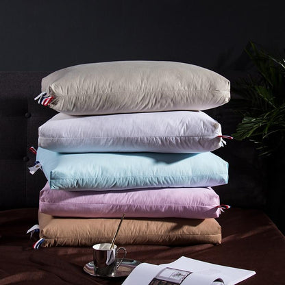 Giovanni Goose Down Pillows Cotton Made Set of 2