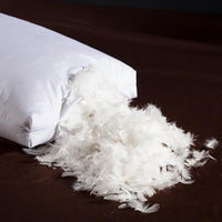 Giovanni Goose Down Pillows Cotton Made Set of 2