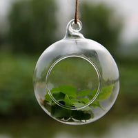 Decorative Glass Hollow Ball