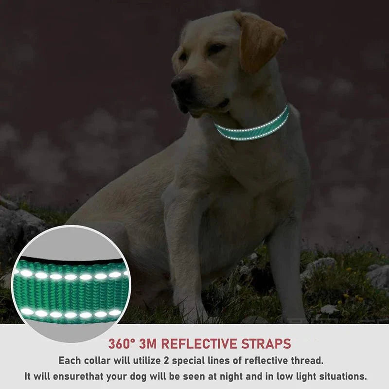 Reflective Nylon Dog Collar – Adjustable Safety Strap