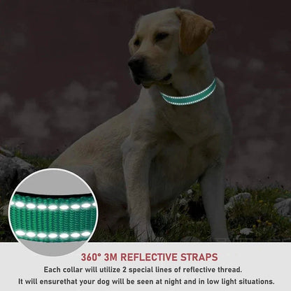 Reflective Nylon Dog Collar – Adjustable Safety Strap